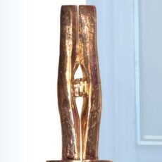 awards_scienceaward_3_kl